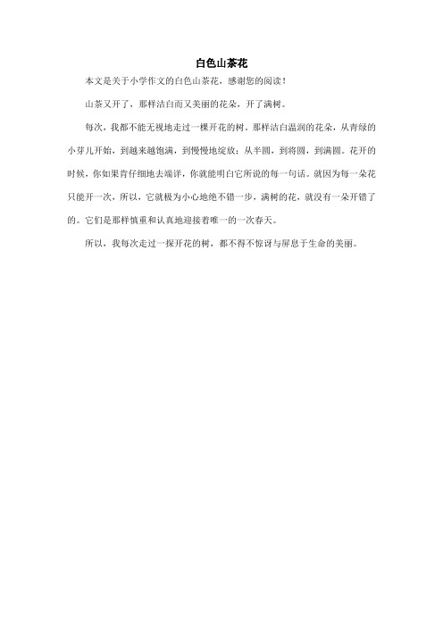 白色山茶花_小学作文