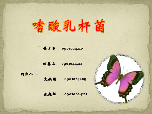 嗜酸乳杆菌
