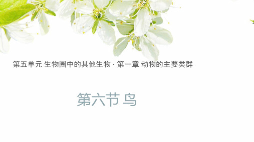 2023-2024学年人教版生物八年级上册5