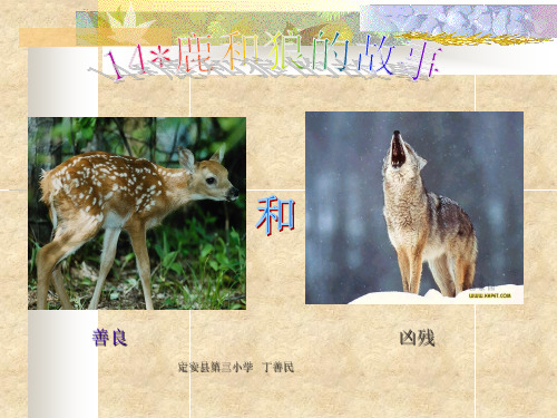 鹿与狼的故事