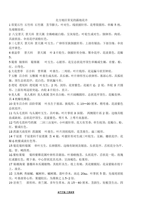北方地区常见的露地花卉