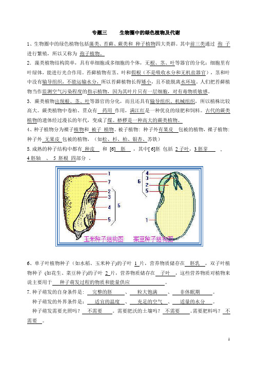 3专题三提纲+生物圈中的绿色植物