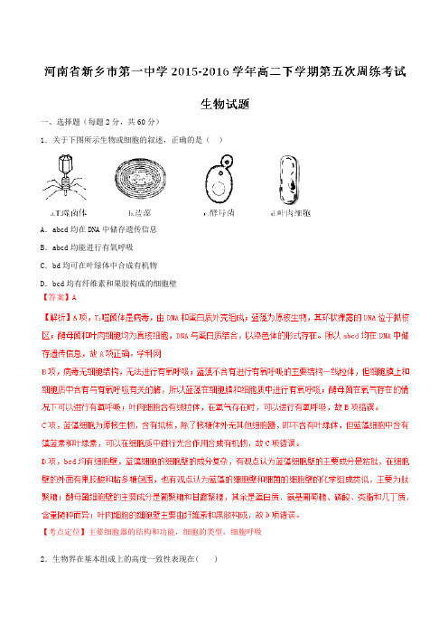 【全国百强校】河南省新乡市第一中学2015-2016学年高二下学期第五次周练考试生物试题(解析版)
