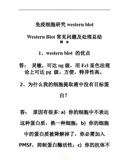 Western Blot常见问题及处理总结