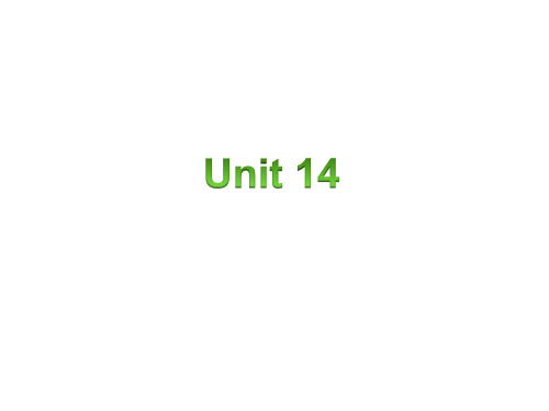 初中英语 人教版九年级unit 14 section b 2b 教学课件(21ppt)
