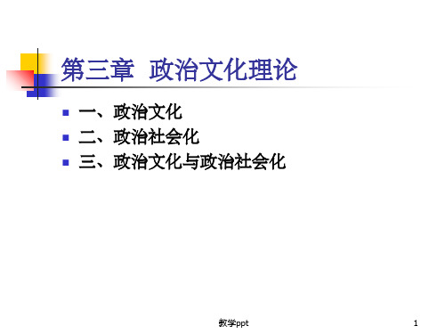 政治文化与政治社会化