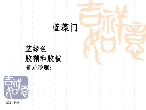水生生物学图谱课件PPT