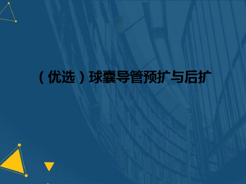 (优选)球囊导管预扩与后扩