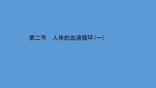 苏教版七年级生物下册人体的血液循环