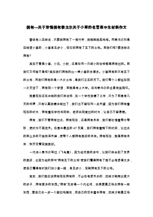 拥有—关于珍惜拥有泰戈尔关于小草的名言高中生材料作文_散文