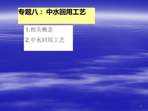专题八__中水回用工艺