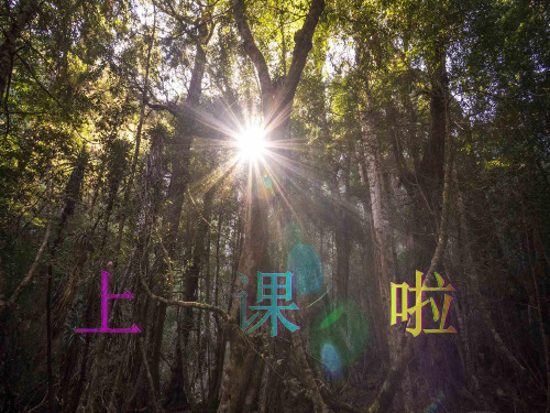 音乐课件《狮王进行曲》(幼儿园PPT课件)