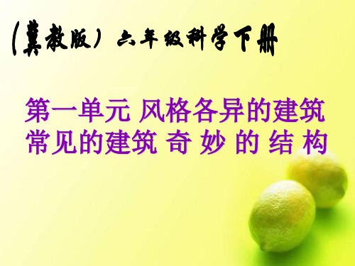 冀人版科学六年级下巧妙的结构课件2