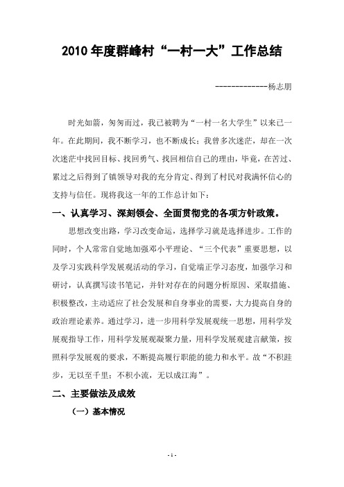 2010年度“一村一大”年终工作总结