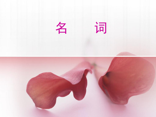 现代汉语-名词
