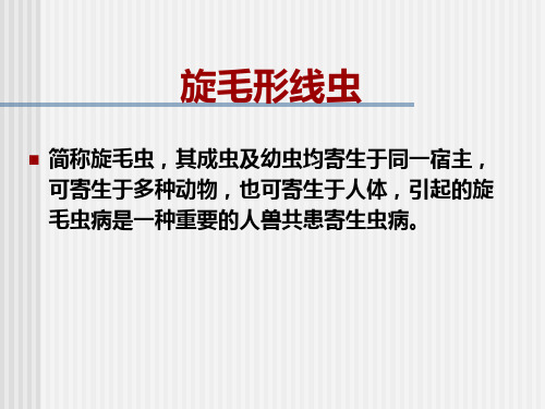 旋毛虫