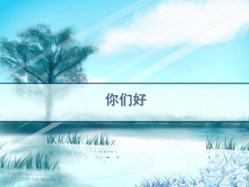 检验科溢洒处理流程培训 PPT