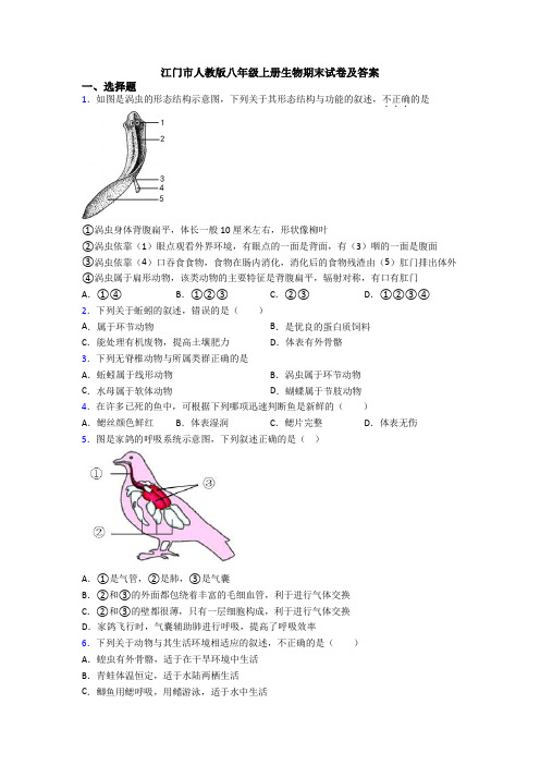 江门市人教版八年级上册生物期末试卷及答案