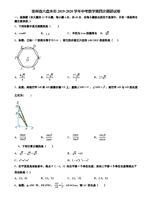 贵州省六盘水市2019-2020学年中考数学第四次调研试卷含解析