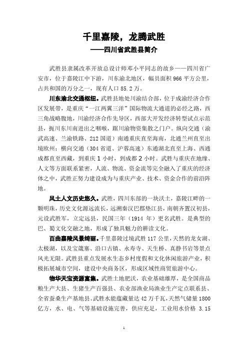 千里嘉陵,龙腾武胜