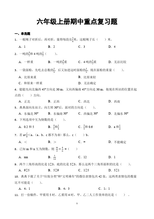 六年级上册数学期中重点复习题