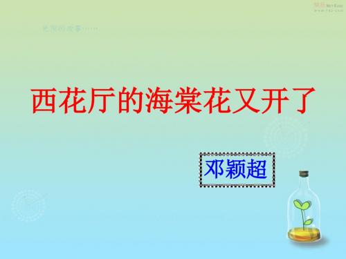九年级语文语文版上册(课件)：3.《西花厅的海棠花又开了》课件1