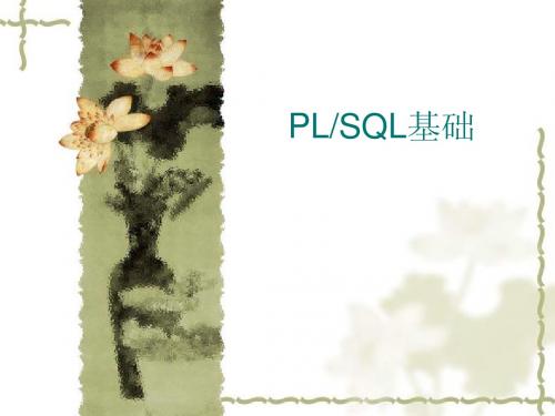 PL_SQL基础