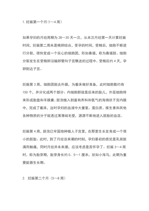 孕期过程