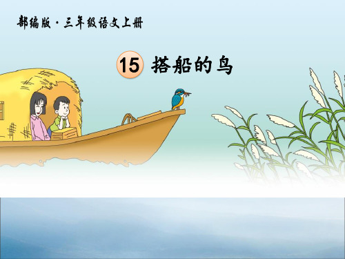 《搭船的鸟》PPT教学课件【优秀课件PPT】