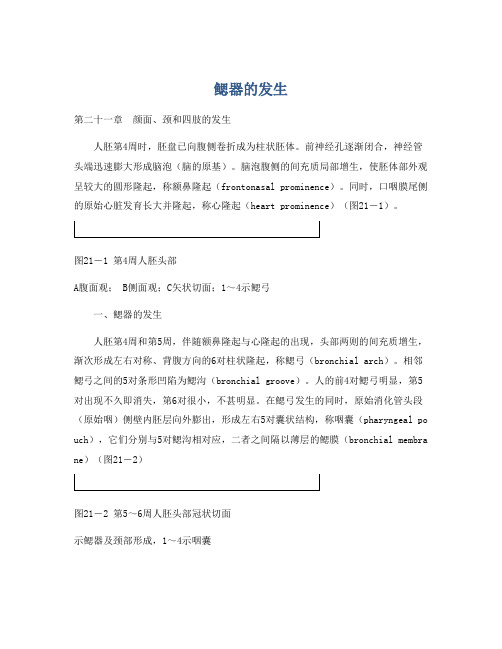 鳃器的发生