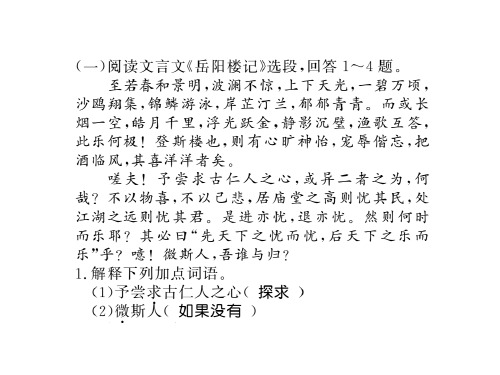 秋人教部编版九年级语文上册(广西专版)习题课件：专题九(共17张PPT)
