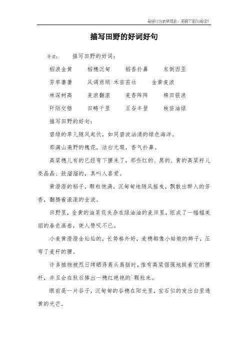 描写田野的好词好句
