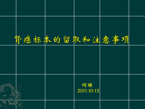 肾癌标本的留取和注意事项