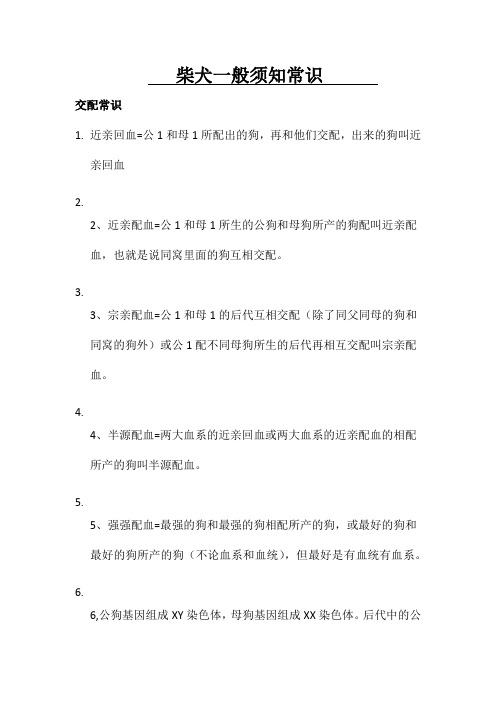 柴犬常识