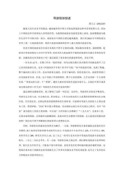 导游现状综述