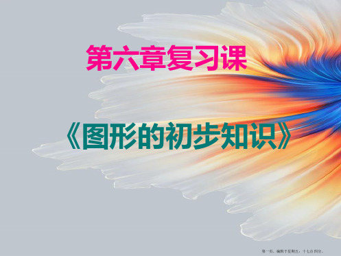 第6章《图形的初步知识》复习课件2(共11张PPT)