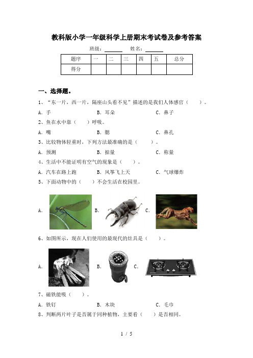 教科版小学一年级科学上册期末考试卷及参考答案