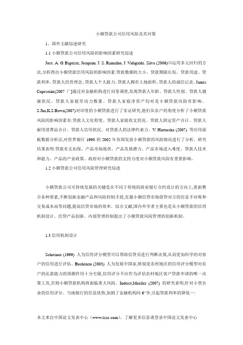 小额贷款公司信用风险及其对策