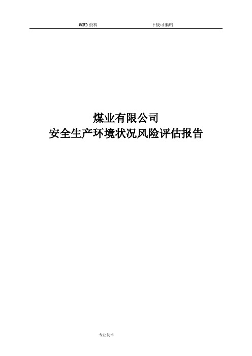 煤业有限公司安全生产环境状况风险评估报告书