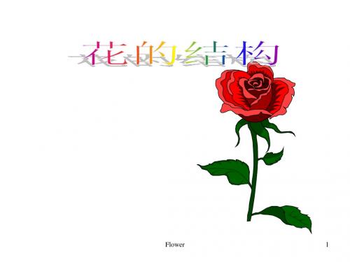 七年级生物花的结构