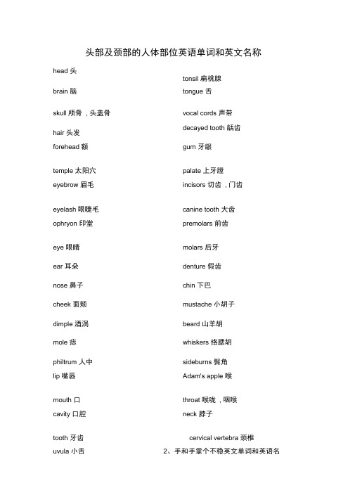 人体部位英文名称