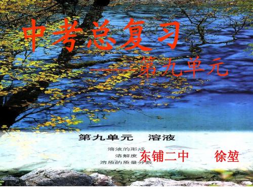 河南省2014年中招化学第一轮第九单元复习