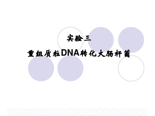 实验三 重组质粒DNA转化大肠杆菌