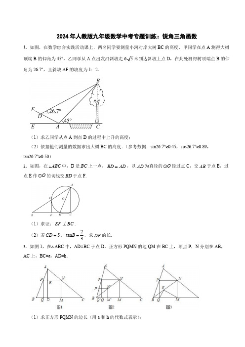 2024年人教版九年级数学中考专题训练：锐角三角函数(含解析)