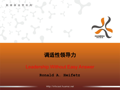 调适性领导力-精品文档