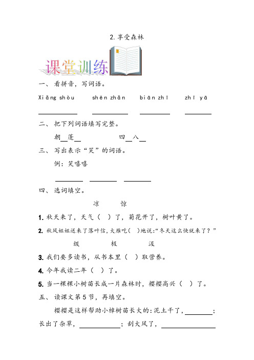 2、享受森林