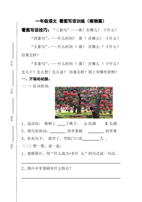 部编版一年级语文植物篇看图写话(含答案)