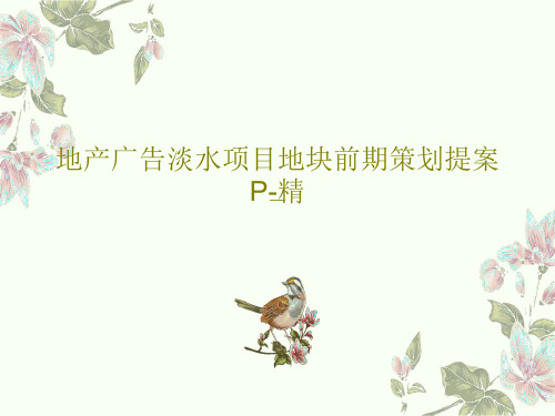 地产广告淡水项目地块前期策划提案P-精PPT文档共86页