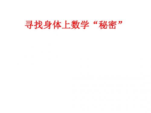 寻找身上的数学秘密 课件