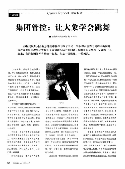 集团管控：让大象学会跳舞